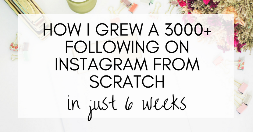 How I grew a 3000+ following on Instagram from scratch in 6 weeks