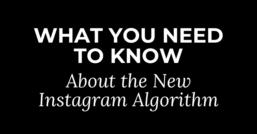 new instagram algorithm