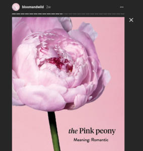 instagram stories for brands