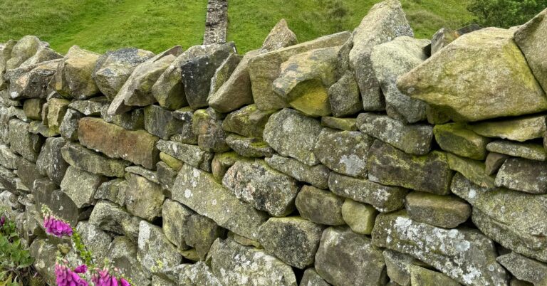 How to Increase Repeat Visits at Your North East Family Attraction