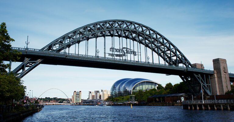 How to Retain Dog Daycare Customers in Newcastle: A Business Owner’s Guide