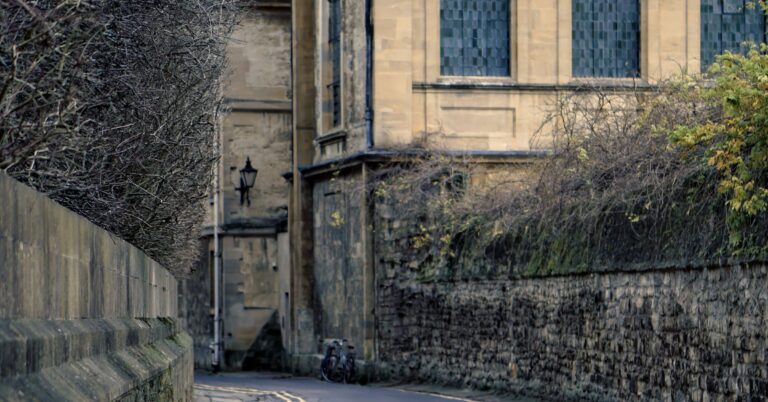 How to Retain Dog Daycare Customers in Oxford: A Business Owner’s Guide