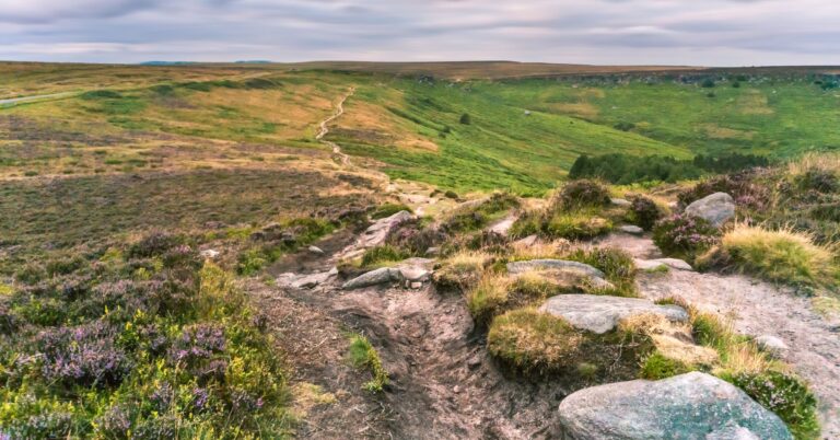 How to Increase Repeat Visits at Your Peak District Family Attraction